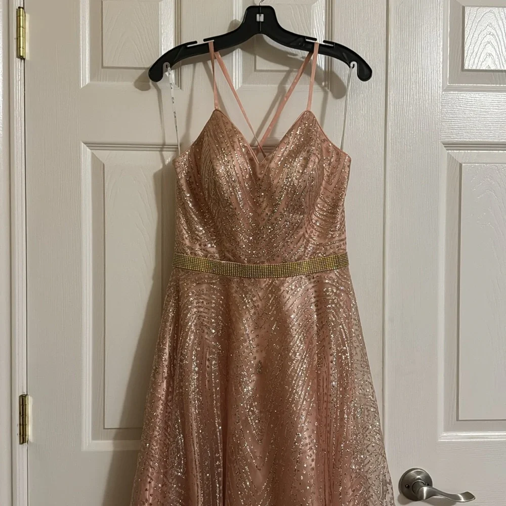 Pink Gown - Picture 5 of 11